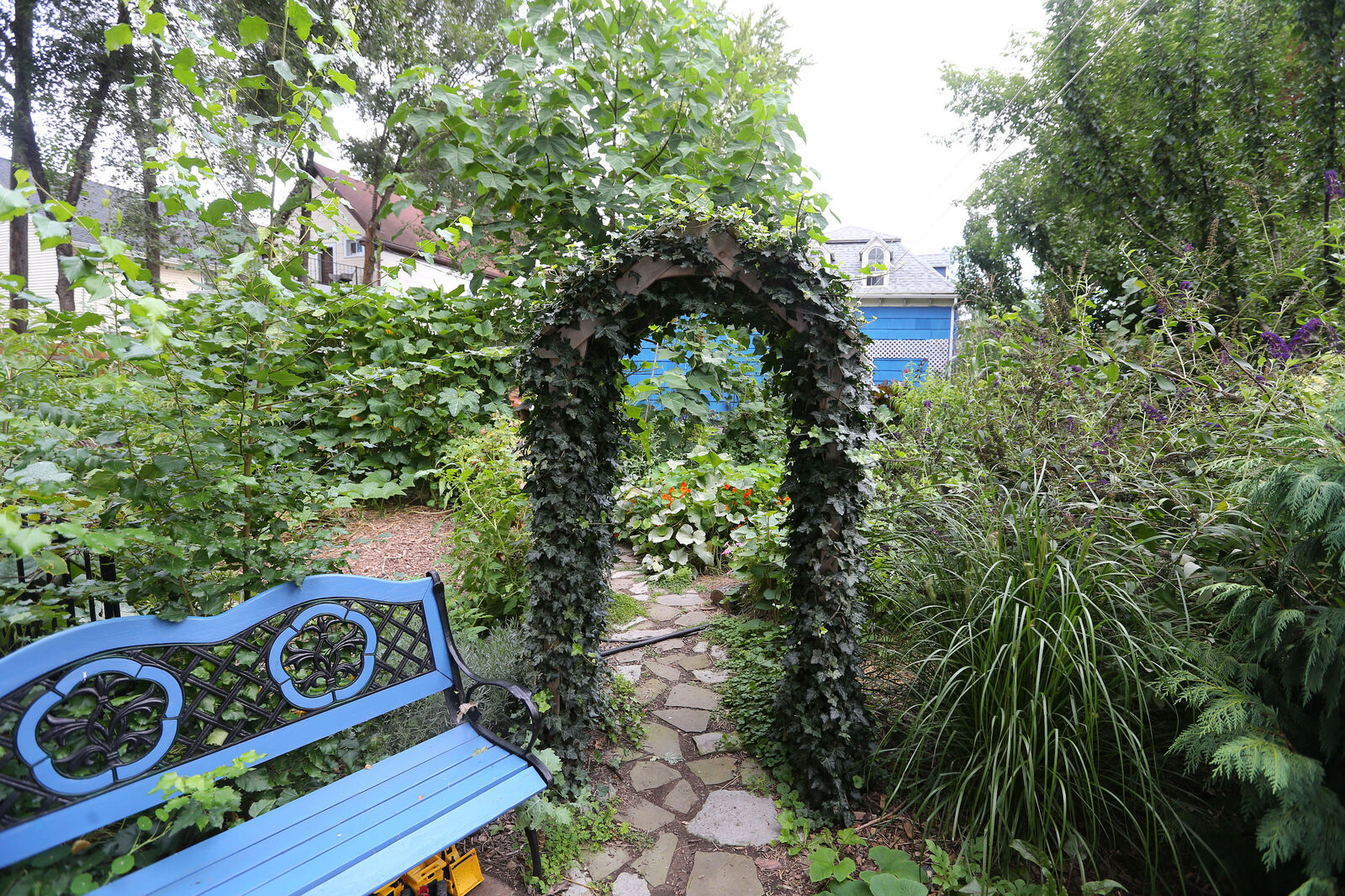 Ivy trellis